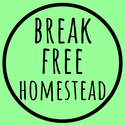 Break Free Homestead