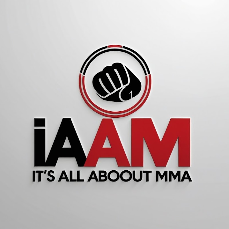 Its All About MMA