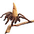 t66UhR2Paqs-channel-avatar-MTG Wizard of Oz