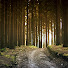 0JUN2wDdxDk-channel-avatar-Potnik