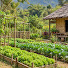 QO4kI8U_XG0-channel-avatar-Phạm Đạt Farm