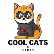 Cool Cat Facts