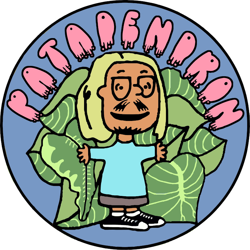 Patadendron