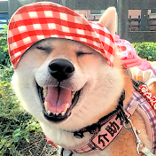 介助犬と桃にゃん