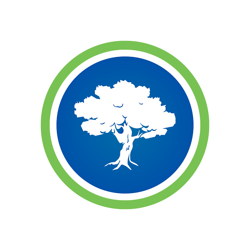 OVM Financial, Inc.