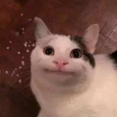 yoinked channel avatar