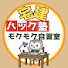 McN78QGrlmw-channel-avatar-宅建ハック塾のもくもく自習室