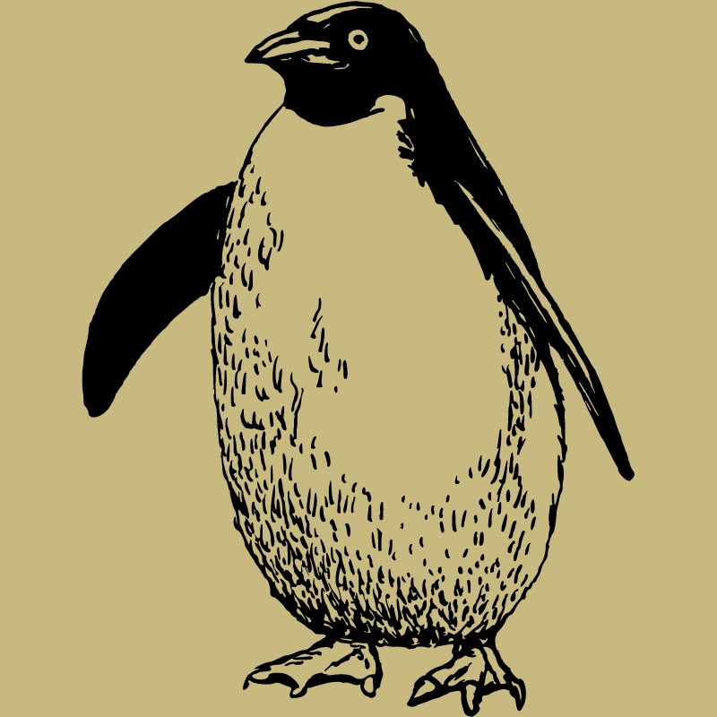 Khaki Penguin