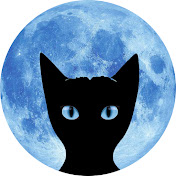 CrazyCats