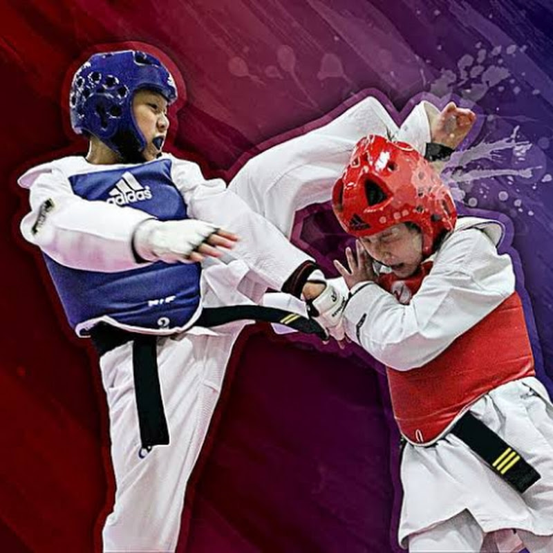 AMIR TEAKWONDO CENTER 