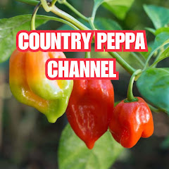 COUNTRY PEPPA NEWS