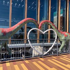 福井県にお試し移住中 / まぼみ