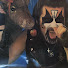 eQdRQT8DDxE-channel-avatar-80s Metal Guy