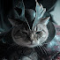 lyd6hqf8qmQ-channel-avatar-MURAKI