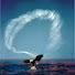 nl4HMXkBIHk-channel-avatar- LAST TRUMP