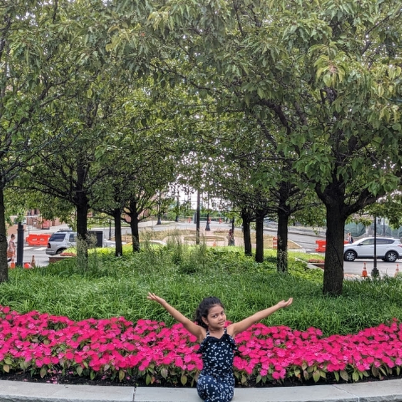 Alysha's World