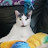 @Alex-dk7nt Avatar