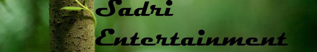 Sadri entertainment YouTube channel avatar