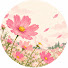 4fZWtYvWq18-channel-avatar-秋桜