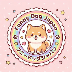 Funny Dog Japan