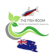 The Fish Room