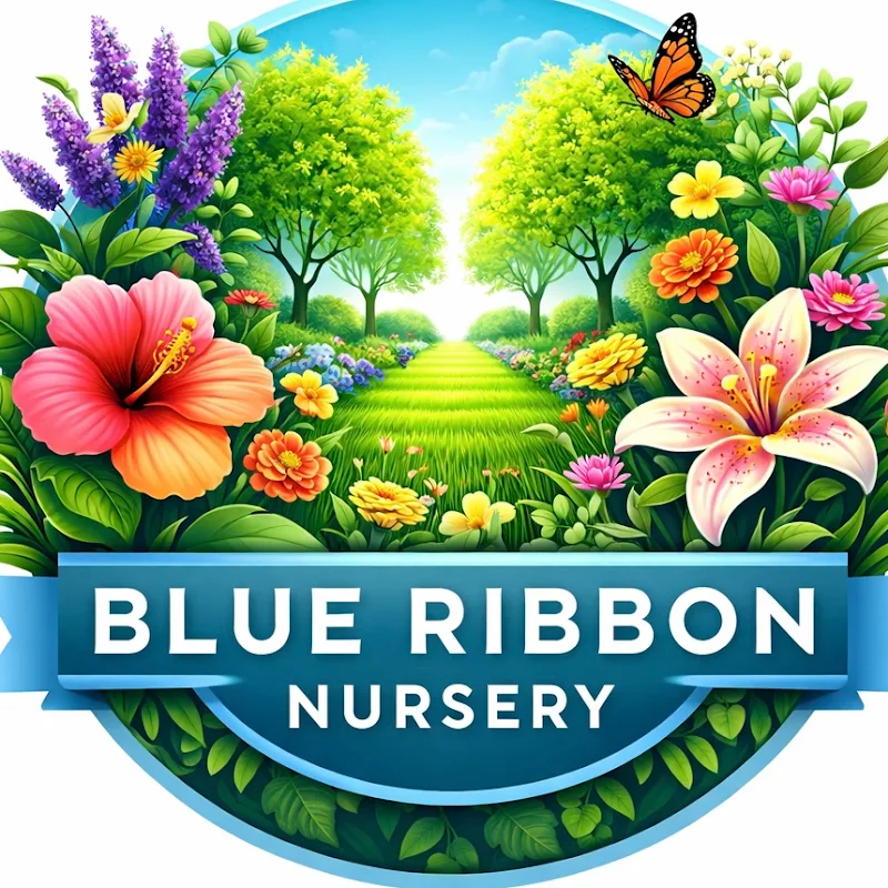 Blue Ribbon Nursery & Landscaping