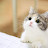@soby1004