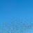 @AGN-t8n