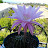 @Teresa-mn7yk