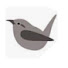 qLYAYuXqQTc-channel-avatar-Shelly Dason- The Gray Wren Nest