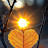 @2012-آزول