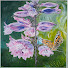 PoByKEJJqrQ-channel-avatar-Rayfields Garden