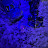 @GeorgeTurtle22 Avatar
