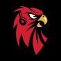 WE TALK HAWKS TV  logo