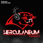 Herky Esports | HHS Blackcat Gaming logo