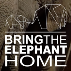 BringTheElephantHome