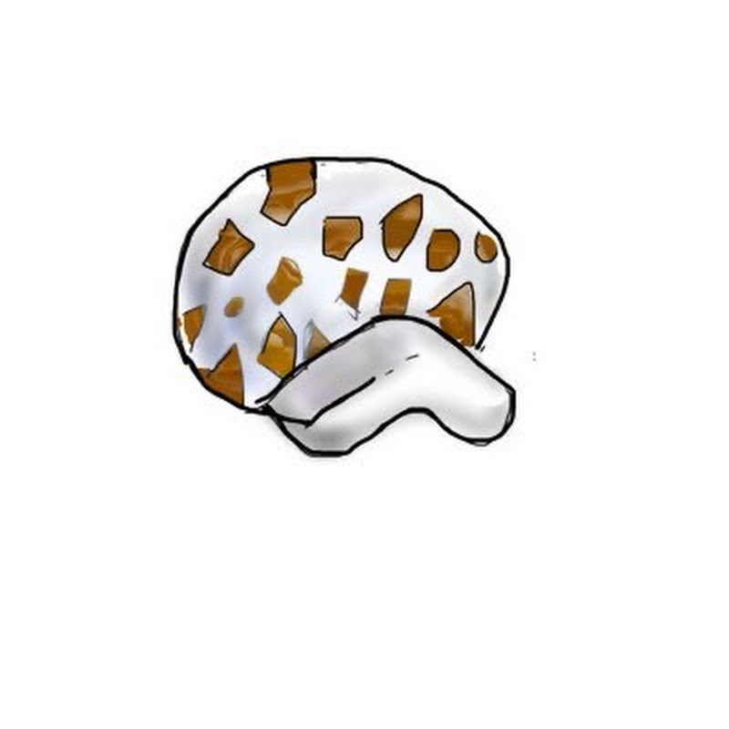 すい