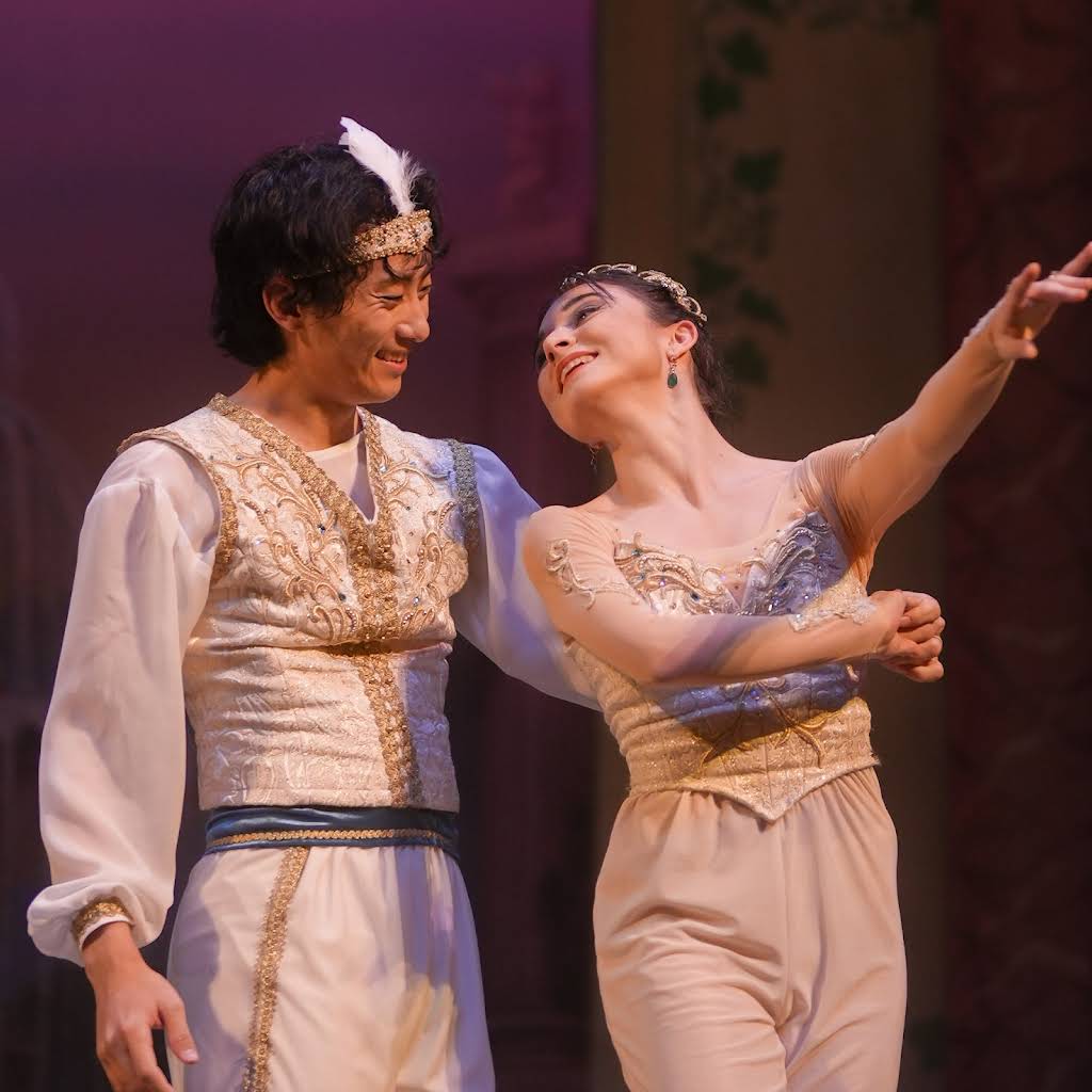 アラジン The Ballet Show DVD & パンフレット セット 美品】 ヤマカイ アラジン バレエ DVD パンフレット - メルカリ