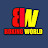 BOXING WORLD