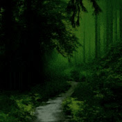 Stealthim