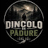 dUMQFF6bIo0-channel-avatar-Dincolo de Pădure