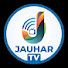 XgpNJ3-1-U0-channel-avatar-JAUHAR TV