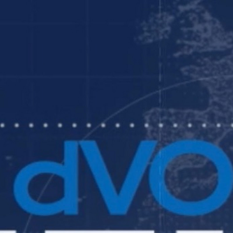 dVO, de Vlaamse Ondernemer