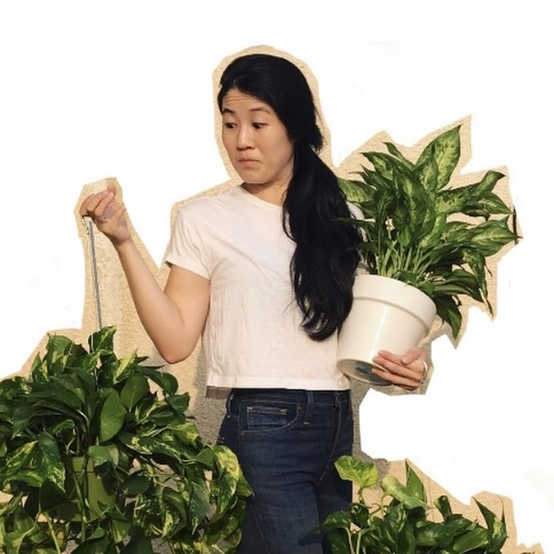 Build Your Moxie Logo