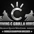 YrMzp-fqBKA-channel-avatar-Shining C Grulla Horses