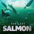 pvu7tH3vrtw-channel-avatar-The Last Salmon and Loop