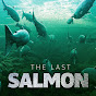 The Last Salmon