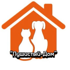 Приют домашних животных