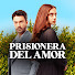 FsE2jIsOMfM-channel-avatar-Prisionera del Amor | Serie Turca en Español and 7 more