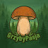 fS8PmOQFkDw-channel-avatar-GrzybyPasja